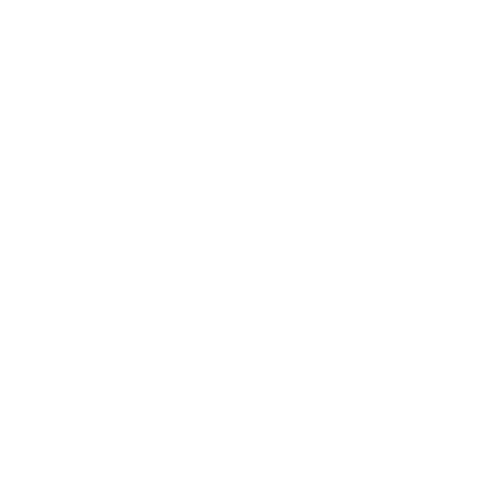 Begleitung im Alltag icon_begleitung.png